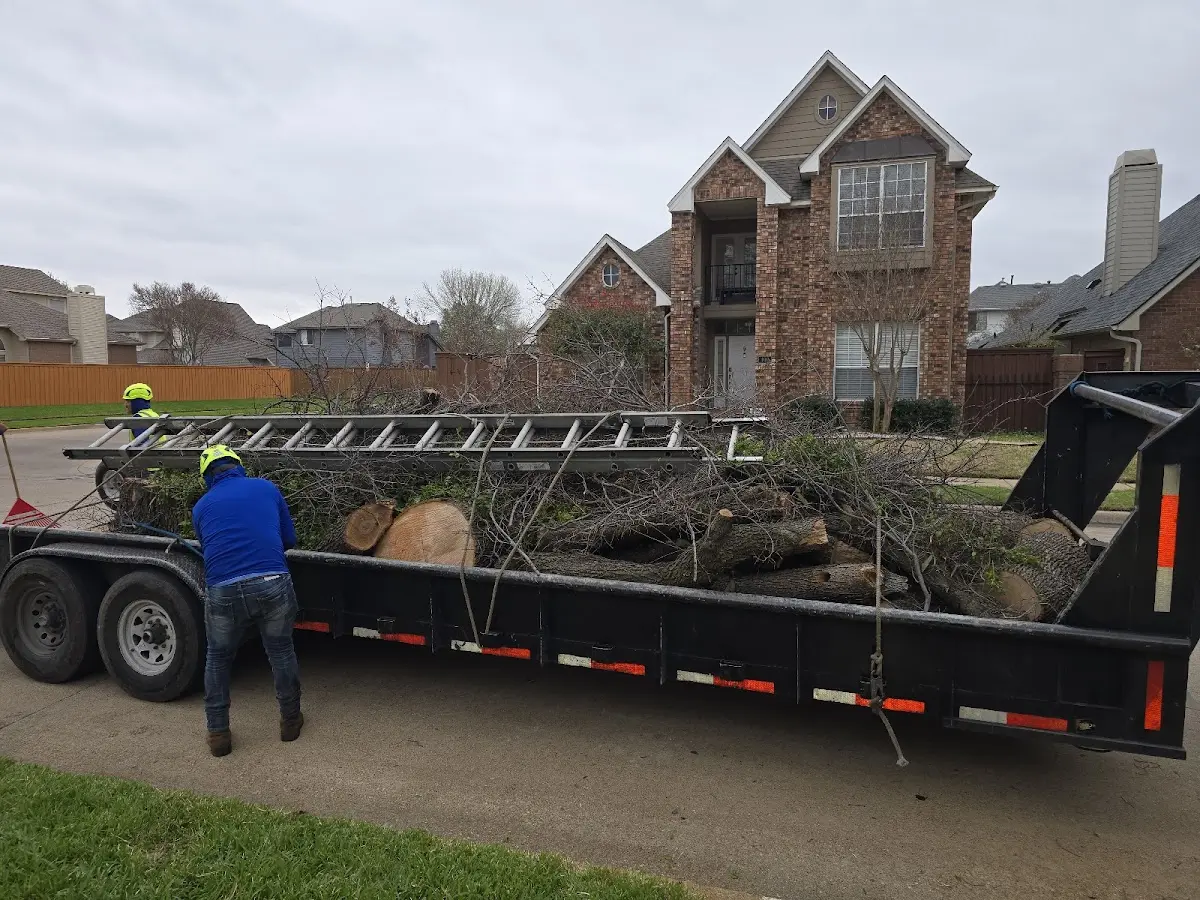 Expert Tree Pest Control with proper safety equipment in Atkinson